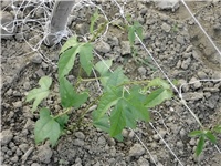 a8addb5d-Picture 006.jpg